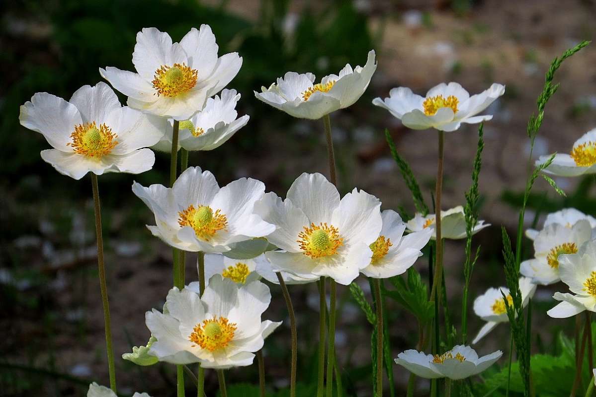 ... ����� Natali  ��������� �� PhotoGeek.ru #������ ��� ������� #����� ��������������