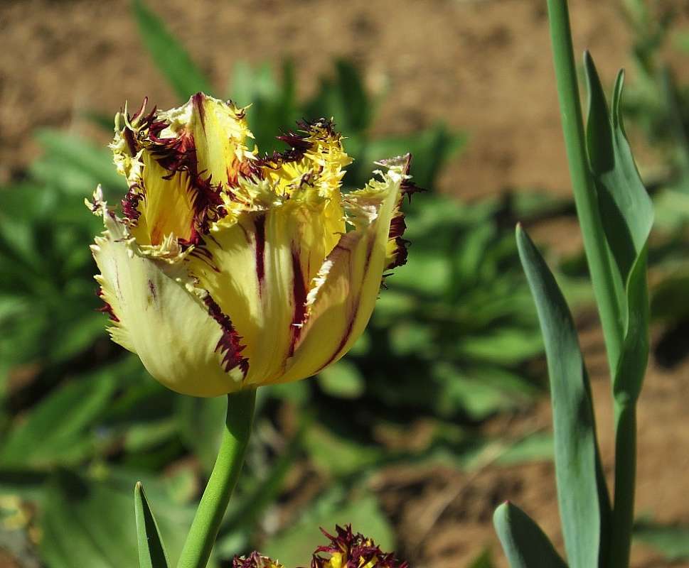 ... ����� Natali  ��������� �� PhotoGeek.ru #������ ��� ������� #����� ��������������