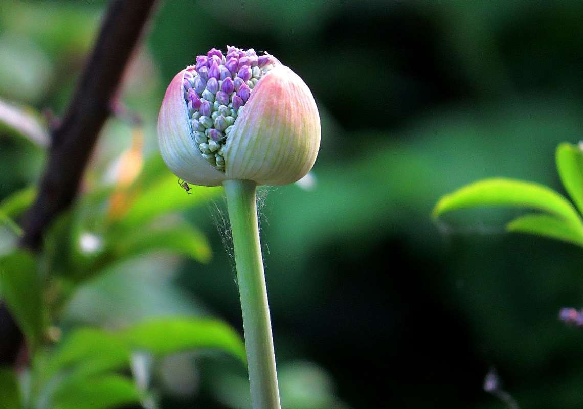 �������� ����� ^__^ ����� Natali  ��������� �� PhotoGeek.ru #����� ��������������