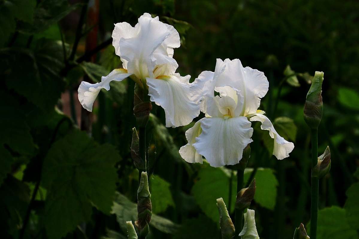 ... ����� Natali  ��������� �� PhotoGeek.ru #������ ��� ������� #����� ��������������