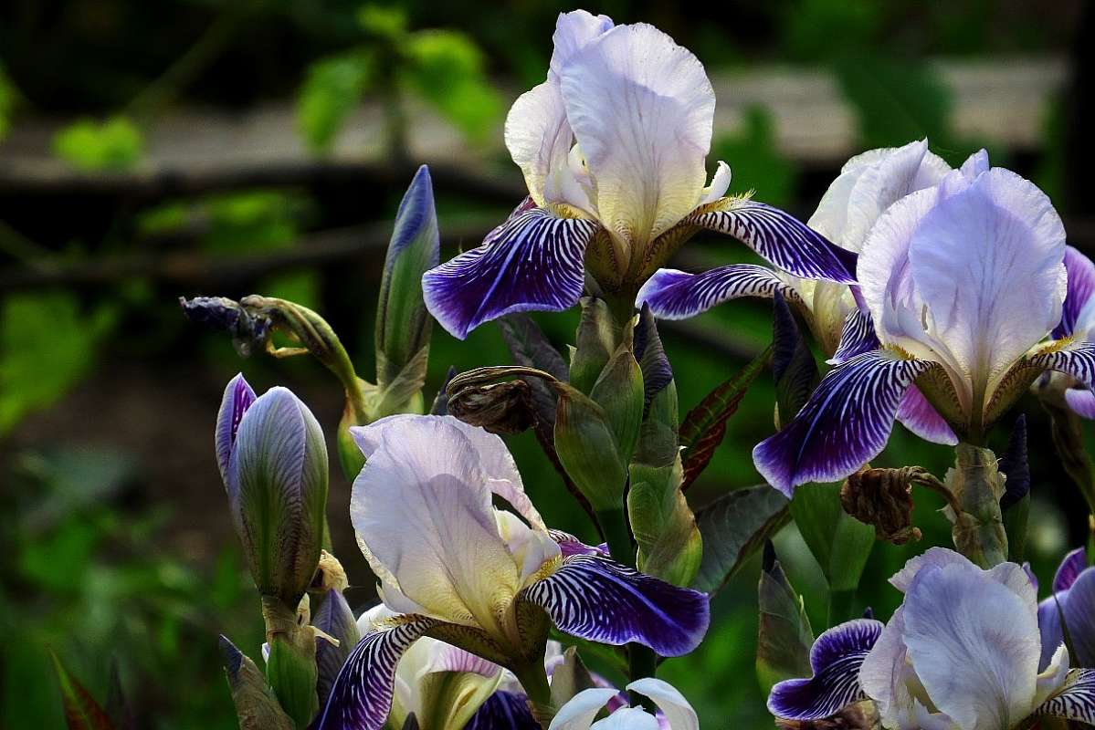 ... ����� Natali  ��������� �� PhotoGeek.ru #������ ��� ������� #����� ��������������