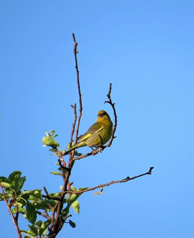 ���� ��������� � ������ ������ ...))) ����� Natali  ��������� �� PhotoGeek.ru #�������� ��� #����� ��� ��� ���������