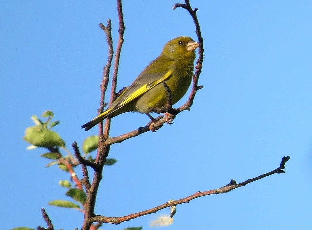 ���� ��������� � ������ ������ ...)) 2 ����� Natali  ��������� �� PhotoGeek.ru #�������� ��� #����� ��� ��� ���������