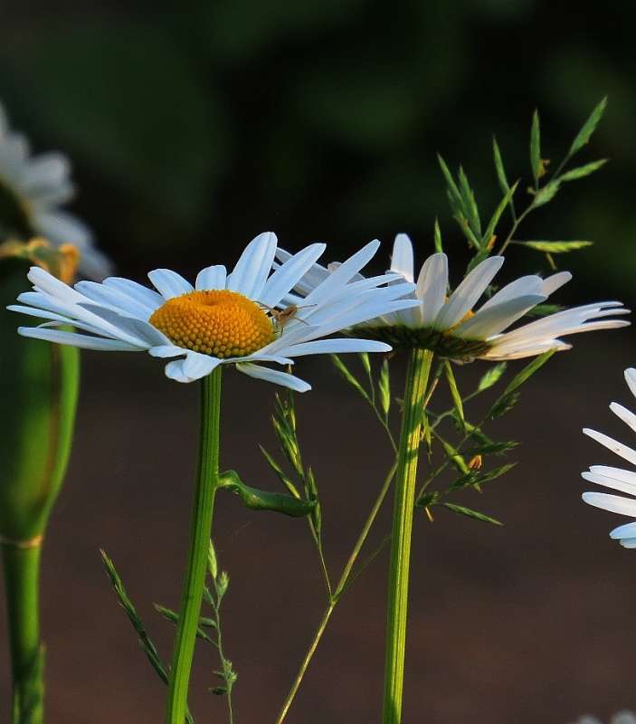 ��� ��� ��� ������, ... � ��������  ))) ����� Natali  ��������� �� PhotoGeek.ru #������ ��� ������� #����� ��������������