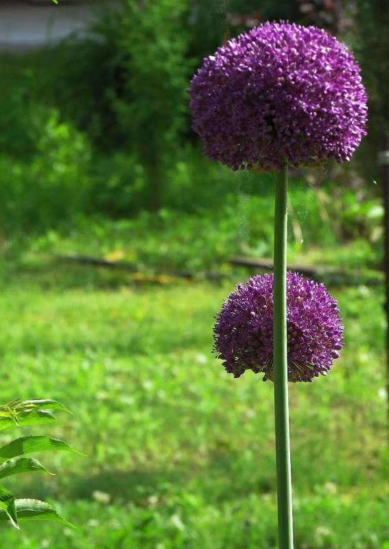 ... ����� Natali  ��������� �� PhotoGeek.ru #������ ��� ������� #����� ��������������