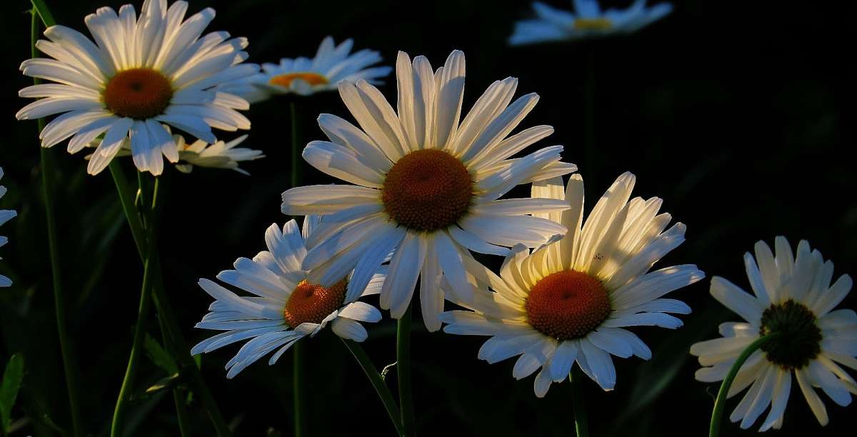 ... ����� Natali  ��������� �� PhotoGeek.ru #������ ��� ������� #����� ��������������