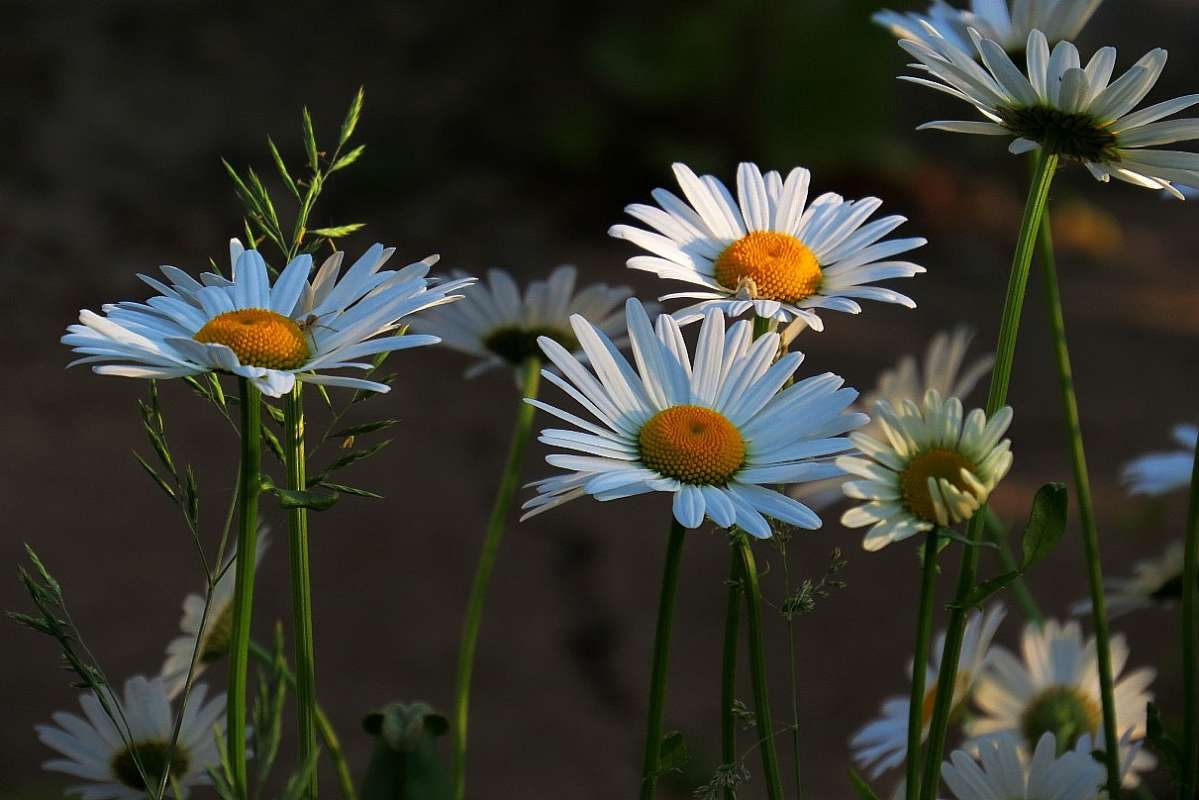 ... ����� Natali  ��������� �� PhotoGeek.ru #������ ��� ������� #����� ��������������