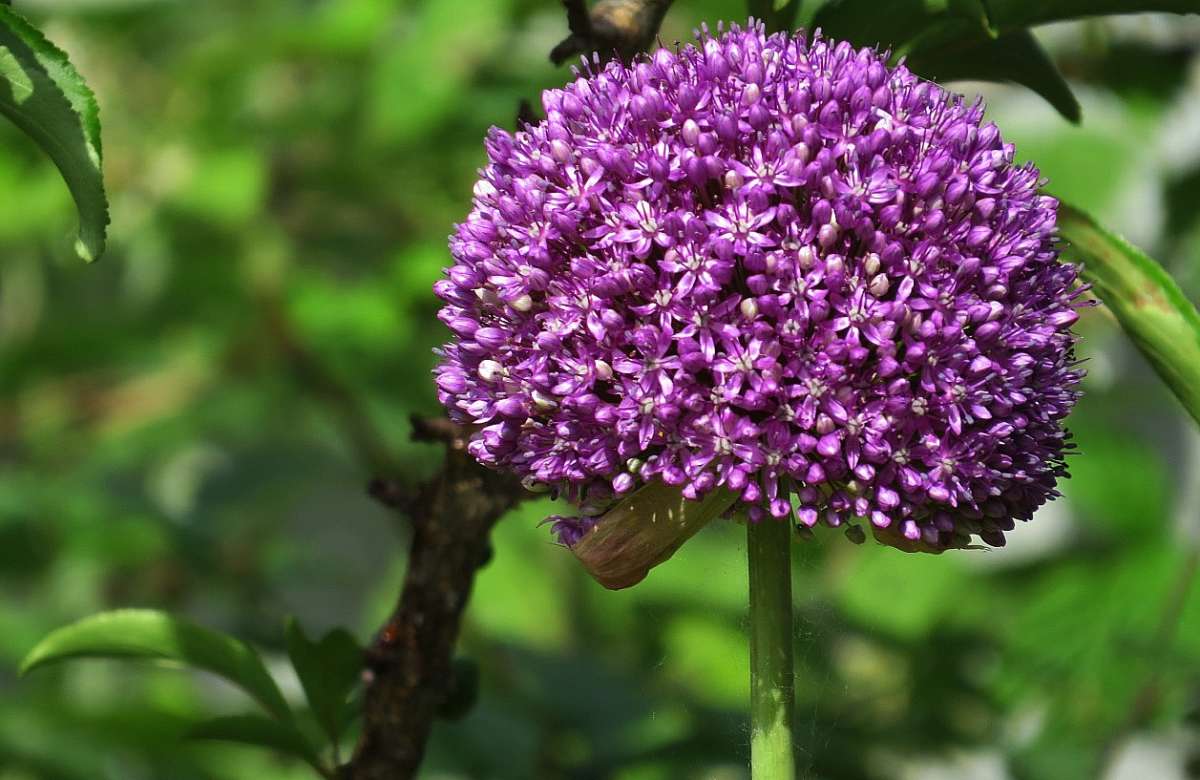 ������-����������� ))) ����� Natali  ��������� �� PhotoGeek.ru #������ ��� ������� #����� ��������������