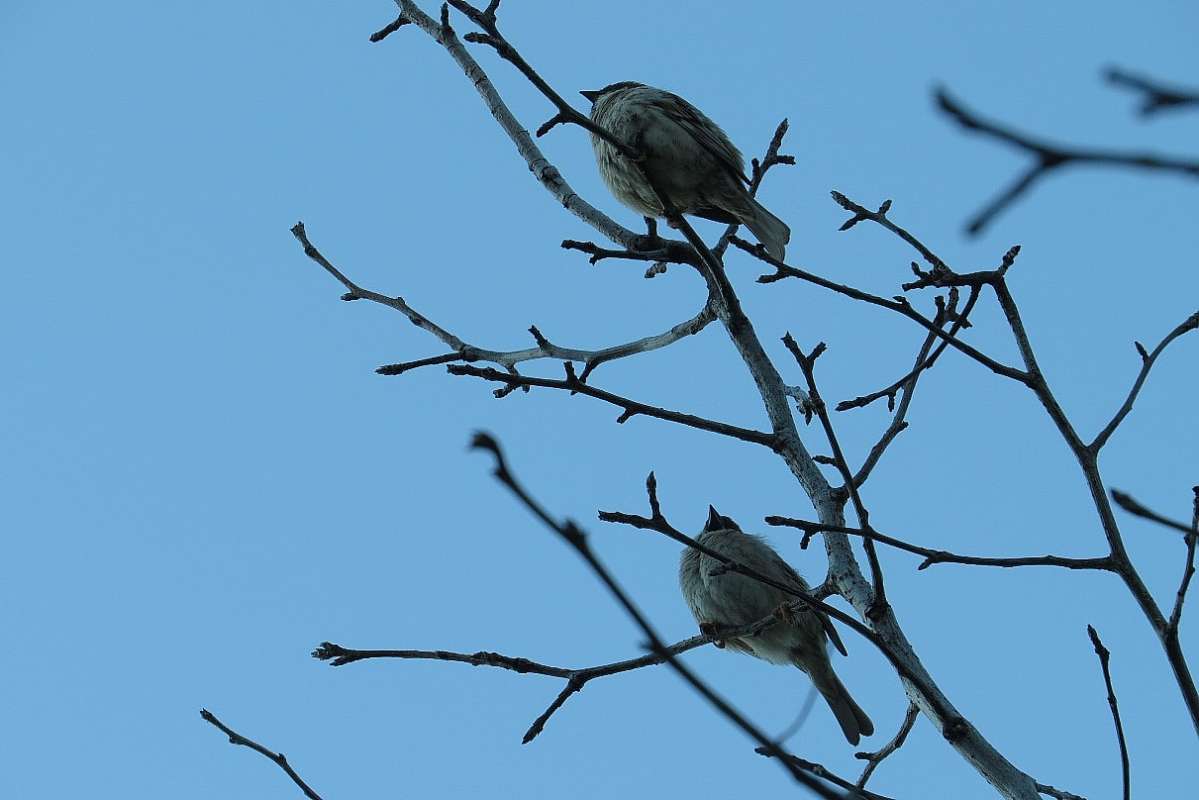 ��� ��������� ^__^ ����� Natali  ��������� �� PhotoGeek.ru #�������� ��� #����� ��� ��� ���������