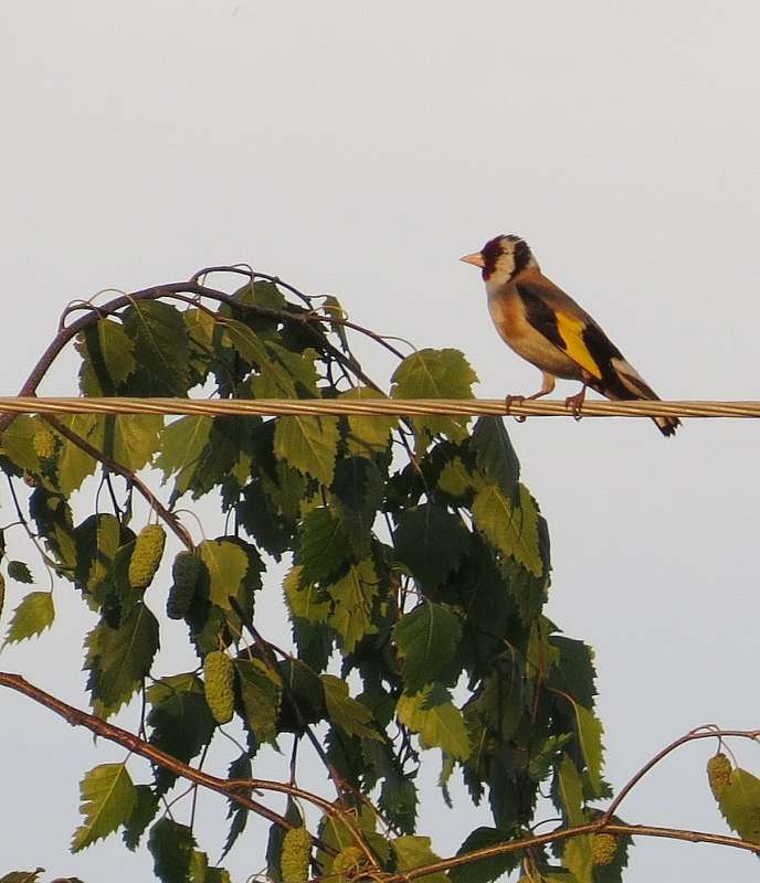 ��� �� ������ - ��������� ? ))) ����� Natali  ��������� �� PhotoGeek.ru #�������� ��� #����� ��� ��� ���������