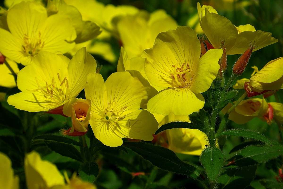 ... ����� Natali  ��������� �� PhotoGeek.ru #������ ��� ������� #����� ��������������