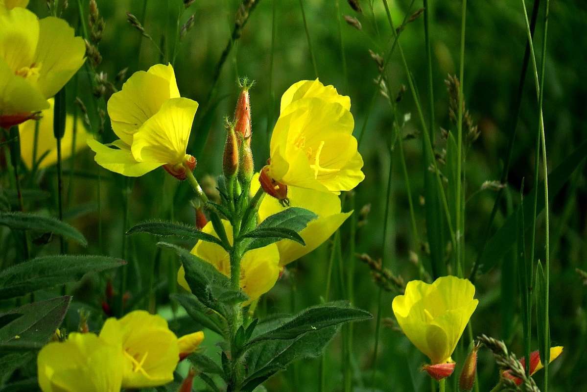 ... ����� Natali  ��������� �� PhotoGeek.ru #������ ��� ������� #����� ��������������