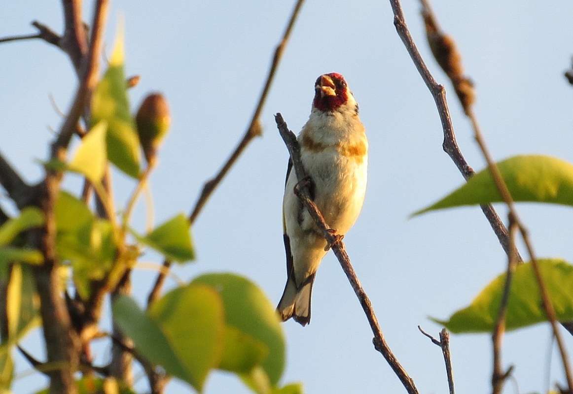 ������-��������� 2 ����� Natali  ��������� �� PhotoGeek.ru #�������� ��� #����� ��� ��� ���������