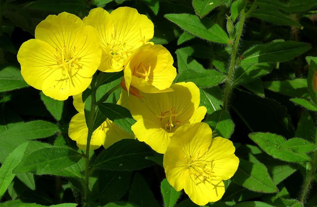 ... ����� Natali  ��������� �� PhotoGeek.ru #������ ��� ������� #����� ��������������