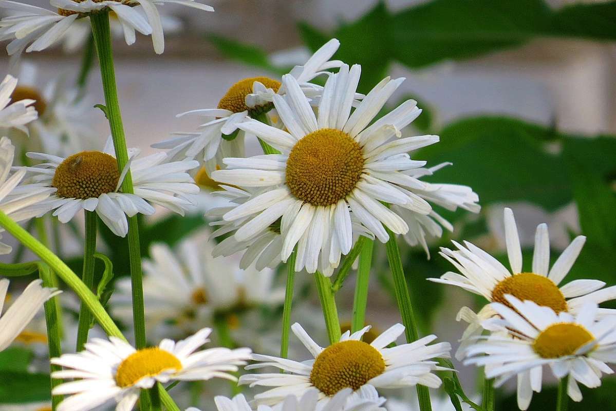 ... ����� Natali  ��������� �� PhotoGeek.ru #������ ��� ������� #����� ��������������