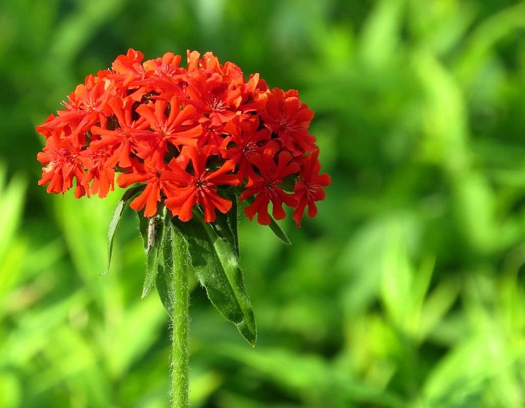 ����������� ����� 2017 ����� Natali  ��������� �� PhotoGeek.ru #������ ��� ������� #����� ��������������