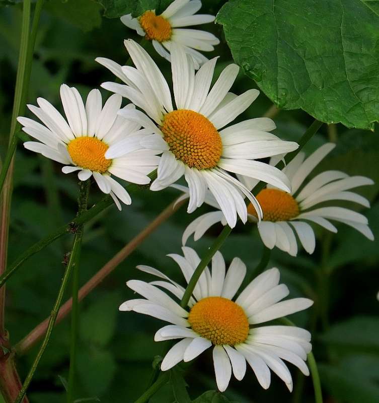 ... ����� Natali  ��������� �� PhotoGeek.ru #������ ��� ������� #����� ��������������