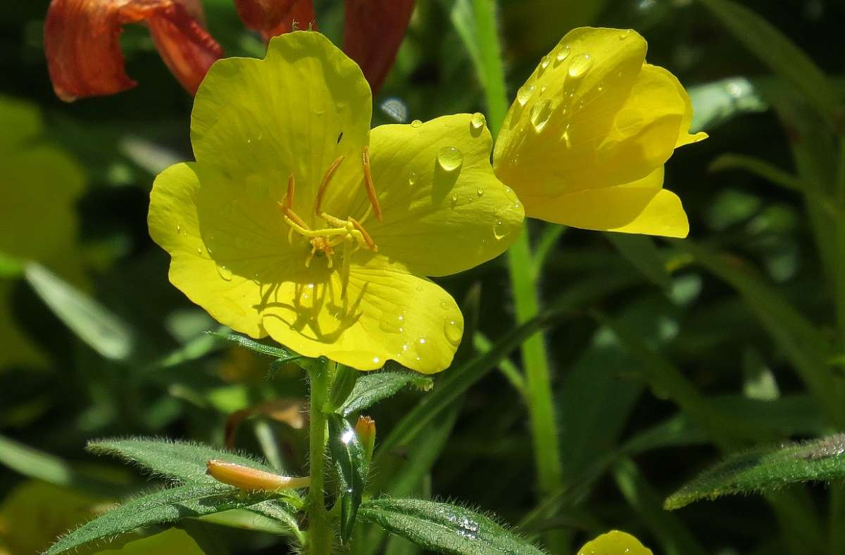 �������� ����� �����, ...)   4 ����� Natali  ��������� �� PhotoGeek.ru #������ ��� ������� #����� ��������������