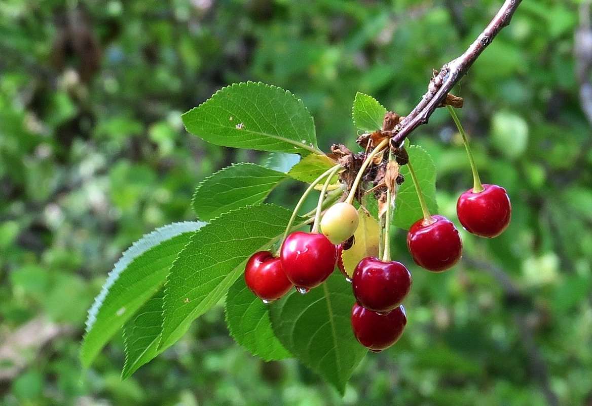 �������� ����� �����, ...)   3 ����� Natali  ��������� �� PhotoGeek.ru #������ ��� ������� #����� ��������������