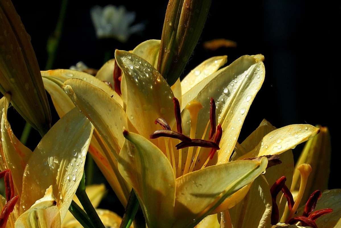 �������� ����� �����, ...)    2 ����� Natali  ��������� �� PhotoGeek.ru #������ ��� ������� #����� ��������������