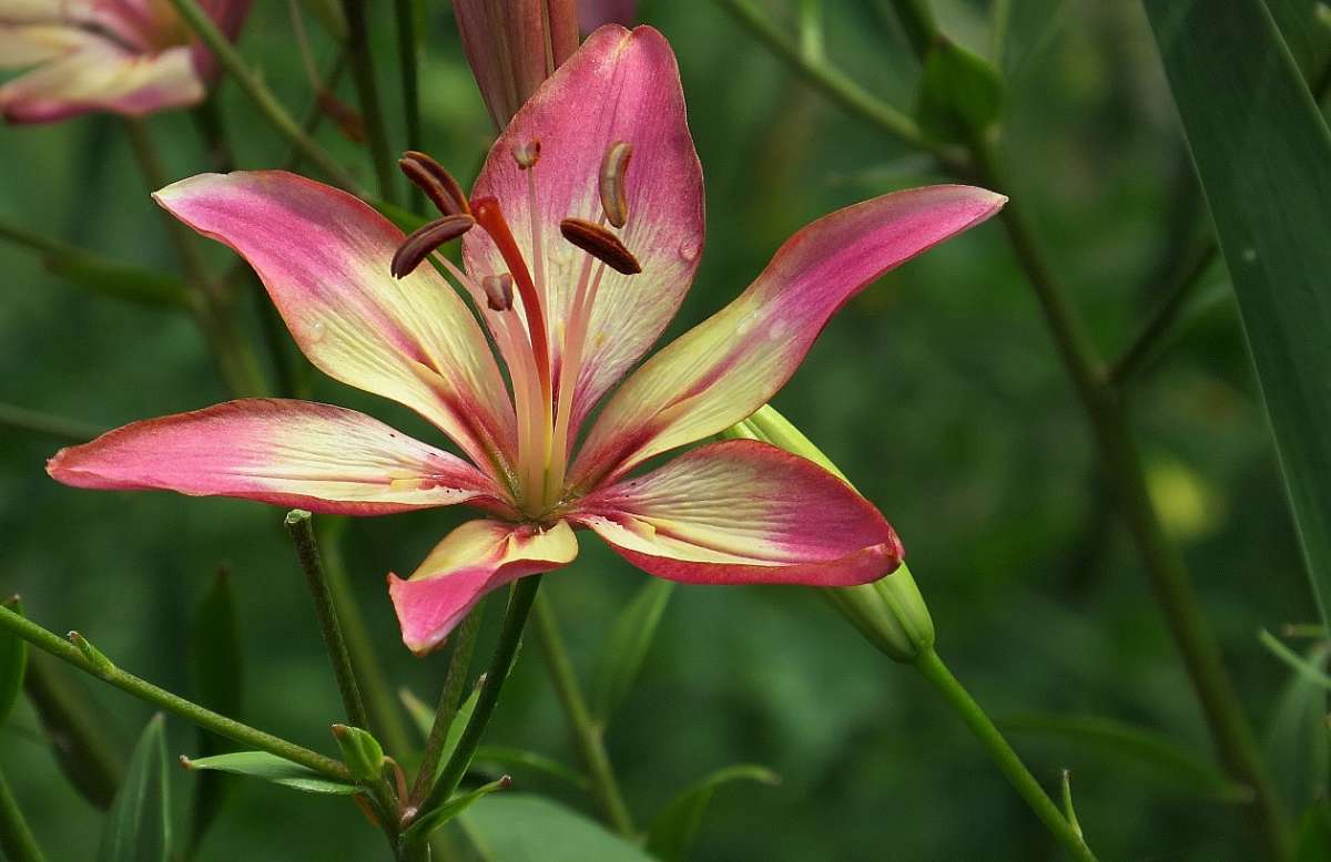 �������� ����� �����, ...) ����� Natali  ��������� �� PhotoGeek.ru #������ ��� ������� #����� ��������������