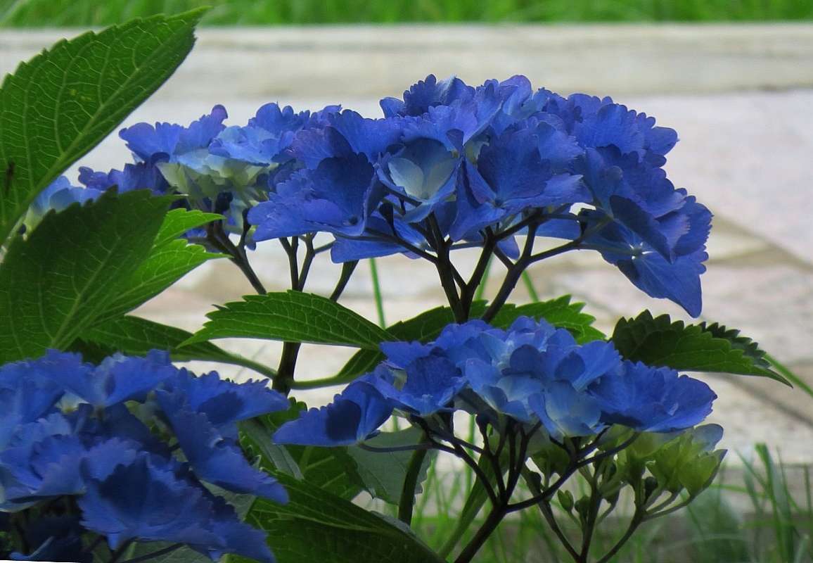 �, ��������� ! ^__^ ����� Natali  ��������� �� PhotoGeek.ru #������ ��� ������� #����� ��������������