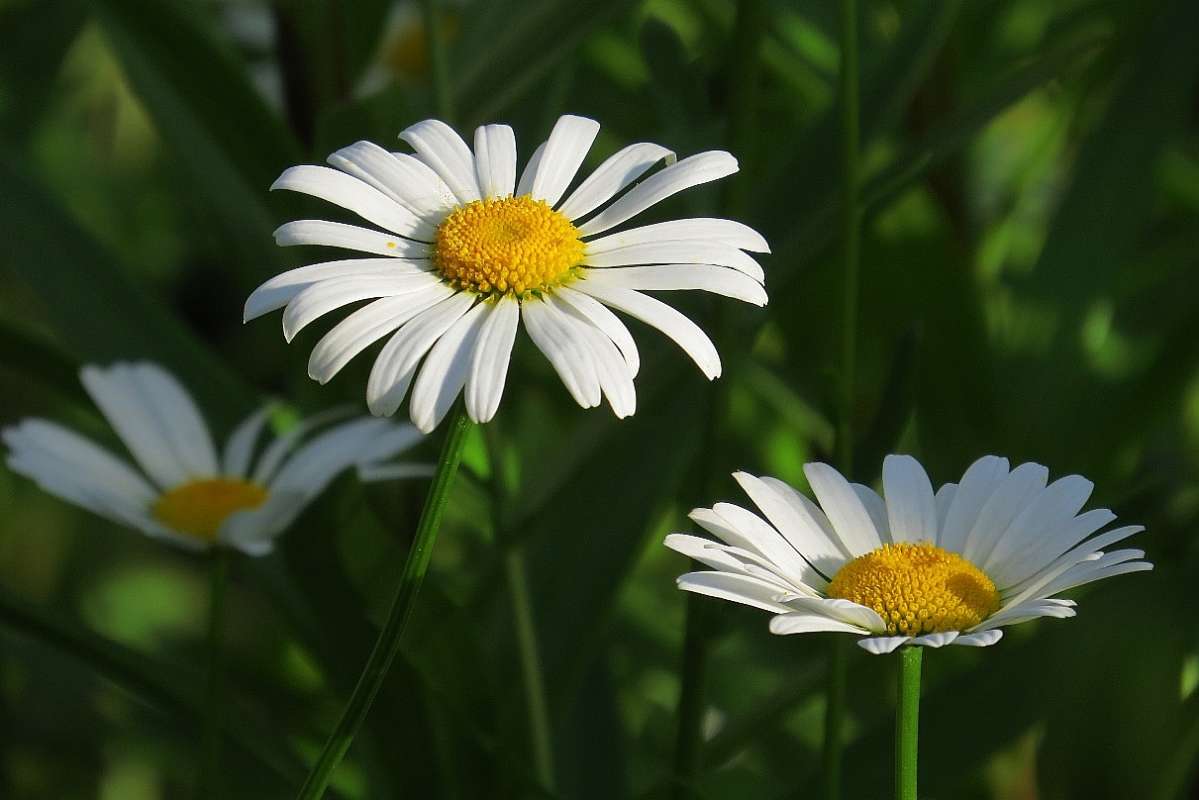 ... ����� Natali  ��������� �� PhotoGeek.ru #������ ��� ������� #����� ��������������