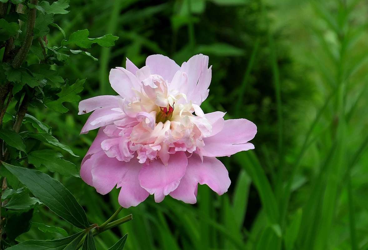 ... ����� Natali  ��������� �� PhotoGeek.ru #������ ��� ������� #����� ��������������