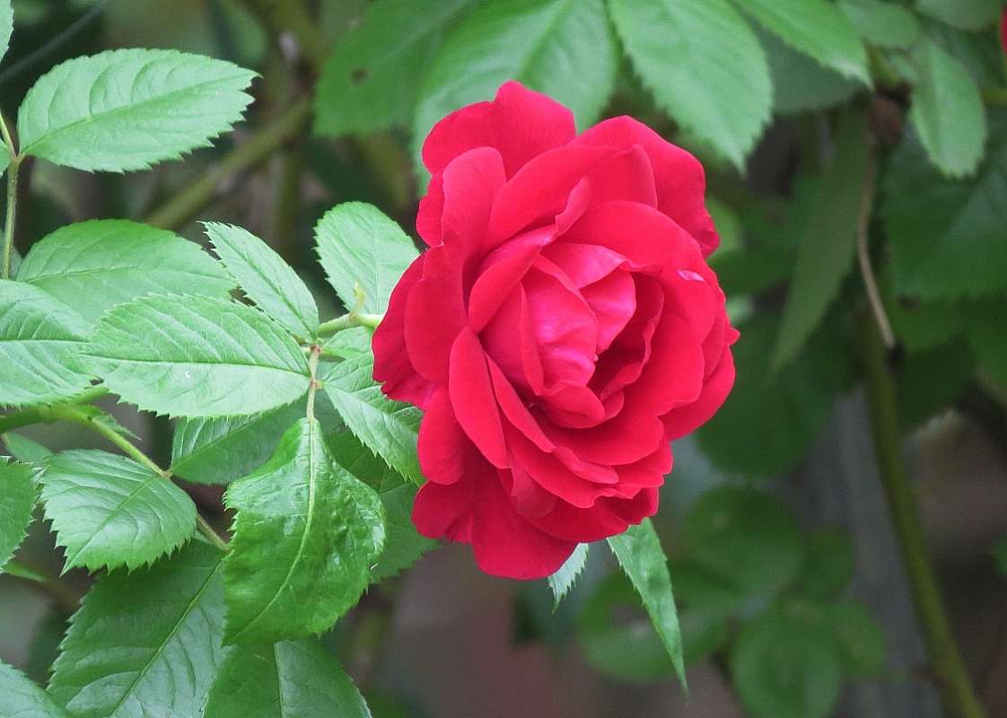 ... ����� Natali  ��������� �� PhotoGeek.ru #������ ��� ������� #����� ��������������