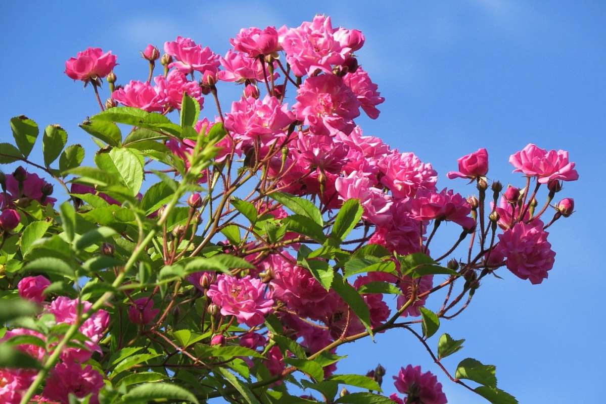 �� ������ ) ����� Natali  ��������� �� PhotoGeek.ru #������ ��� ������� #����� ��������������