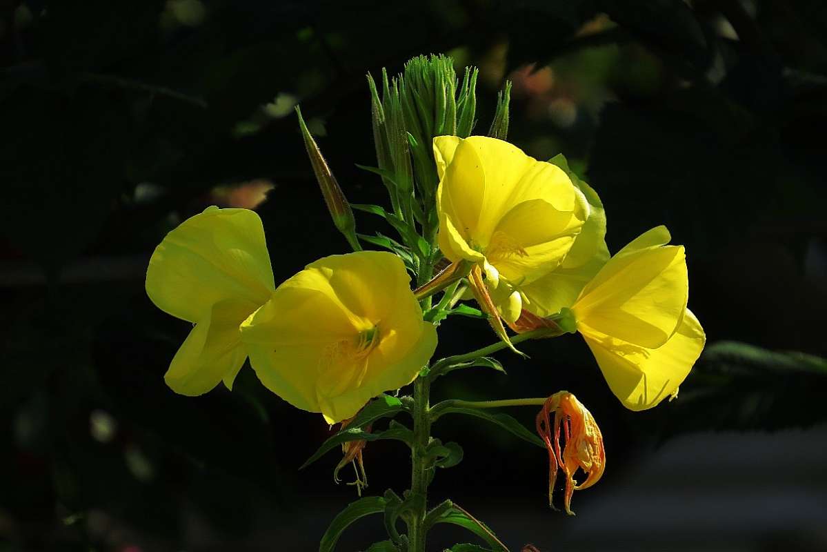 ... ����� Natali  ��������� �� PhotoGeek.ru #������ ��� ������� #����� ��������������