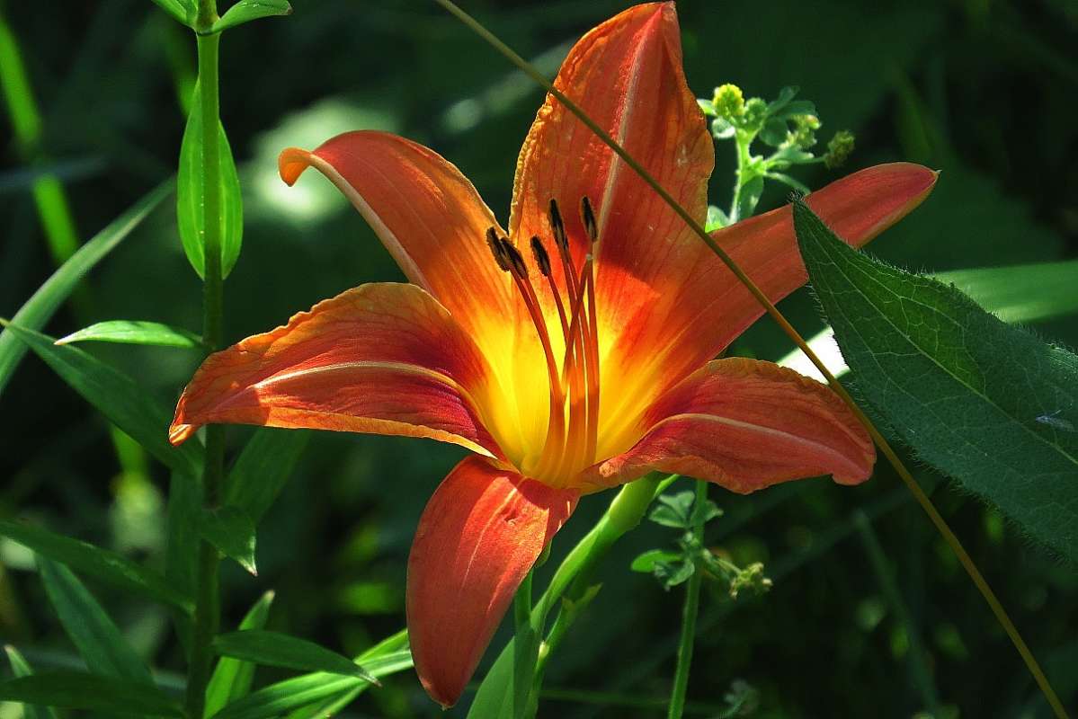 ... ����� Natali  ��������� �� PhotoGeek.ru #������ ��� ������� #����� ��������������