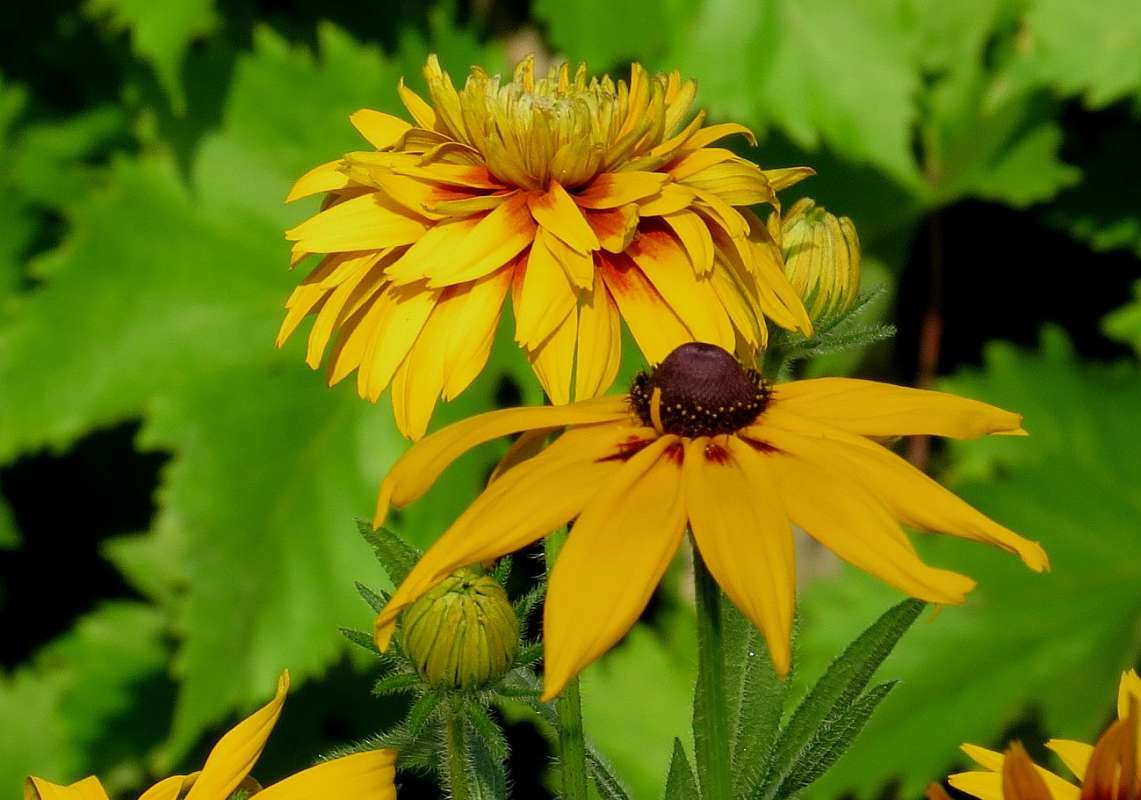 ... ����� Natali  ��������� �� PhotoGeek.ru #������ ��� ������� #����� ��������������