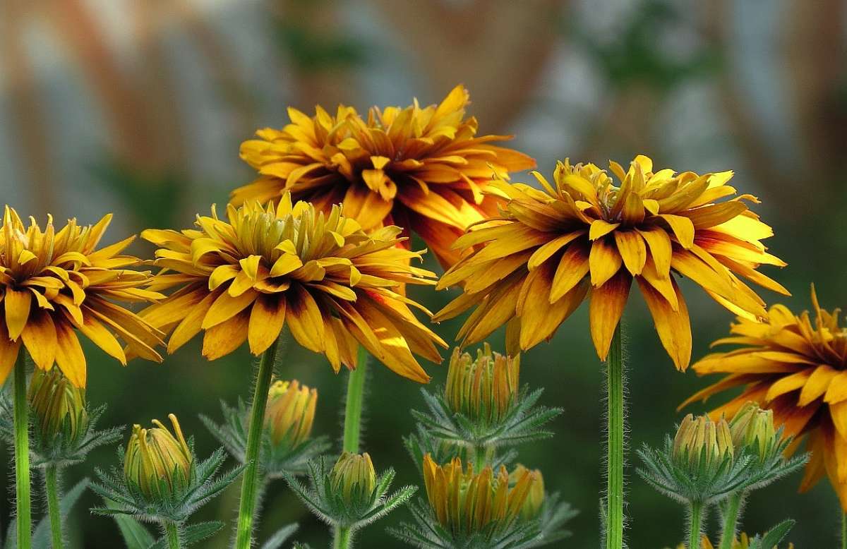 ... ����� Natali  ��������� �� PhotoGeek.ru #������ ��� ������� #����� ��������������