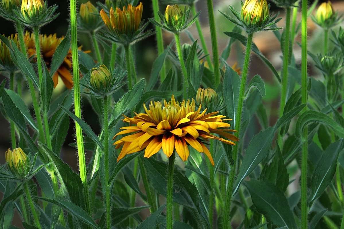 ... ����� Natali  ��������� �� PhotoGeek.ru #������ ��� ������� #����� ��������������