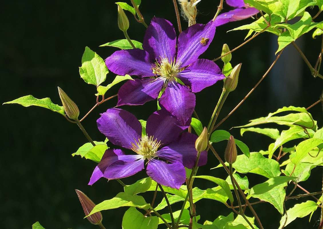 ... ����� Natali  ��������� �� PhotoGeek.ru #������ ��� �������