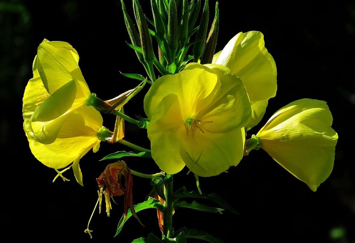 ... ����� Natali  ��������� �� PhotoGeek.ru #������ ��� ������� #����� ��������������