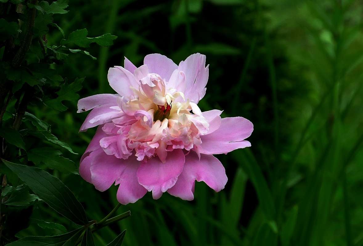 ... ����� Natali  ��������� �� PhotoGeek.ru #������ ��� ������� #����� ��������������