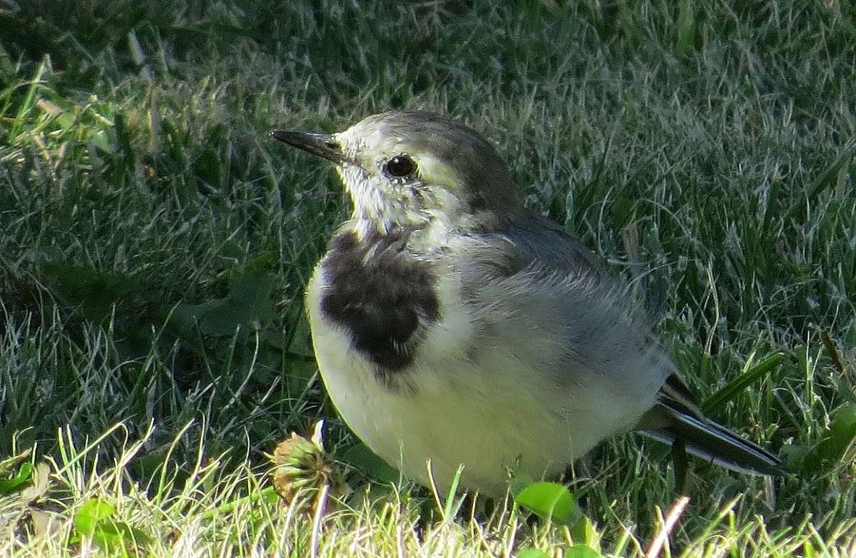 ������������ �������� .......) ����� Natali  ��������� �� PhotoGeek.ru #�������� ��� #����� ��� ��� ���������