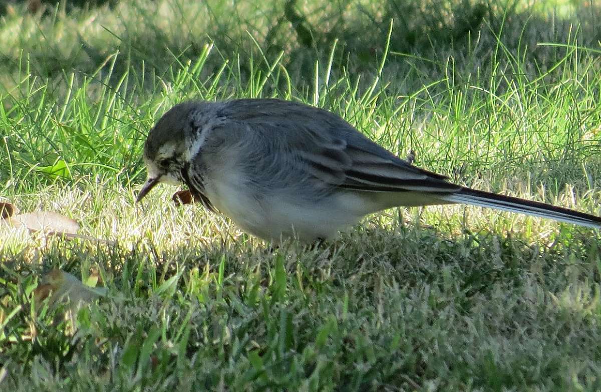 ������������ �������� .......) 2 ����� Natali  ��������� �� PhotoGeek.ru #�������� ��� #����� ��� ��� ���������