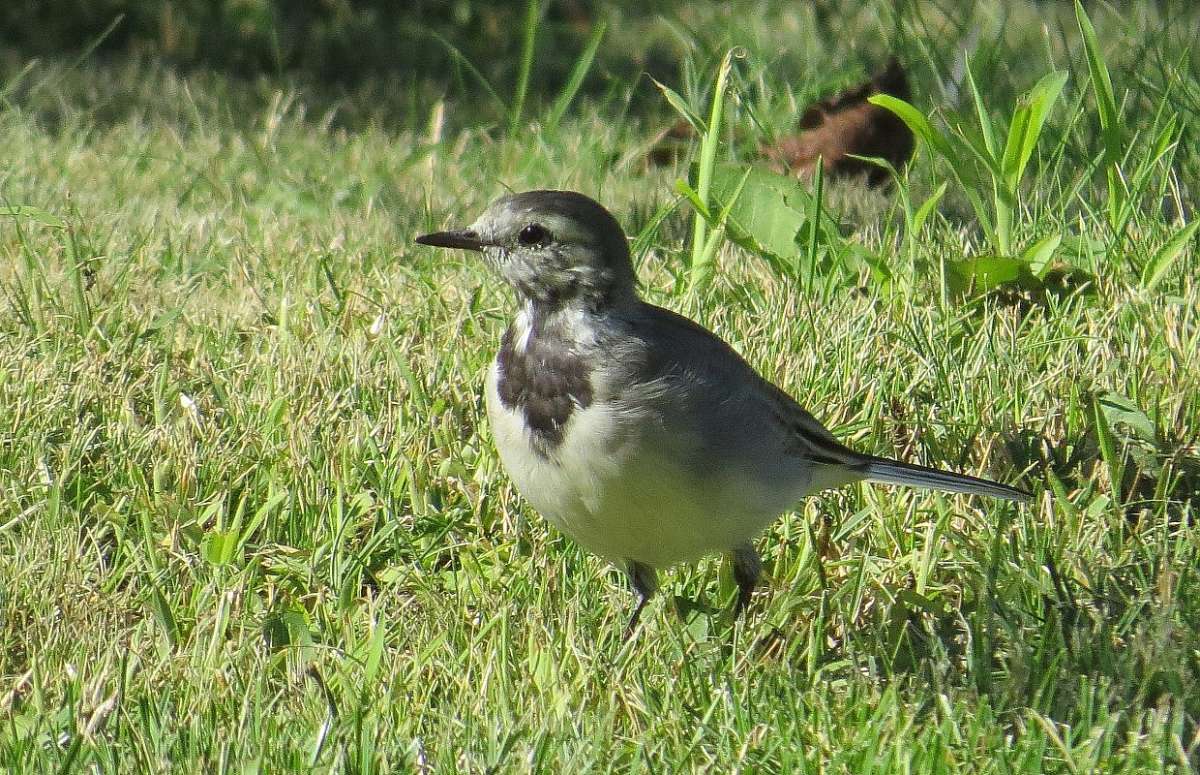 ������������ �������� .......) 3 ����� Natali  ��������� �� PhotoGeek.ru #�������� ��� #����� ��� ��� ���������