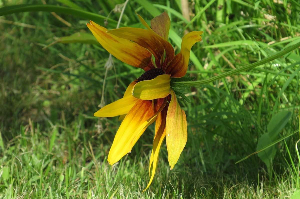 �� ������� ����� Natali  ��������� �� PhotoGeek.ru #������ ��� ������� #����� ��������������