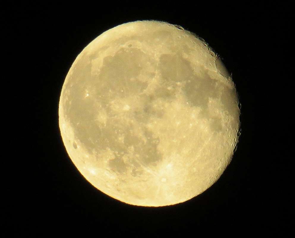 ... ����� Natali  ��������� �� PhotoGeek.ru #������ ��� �������