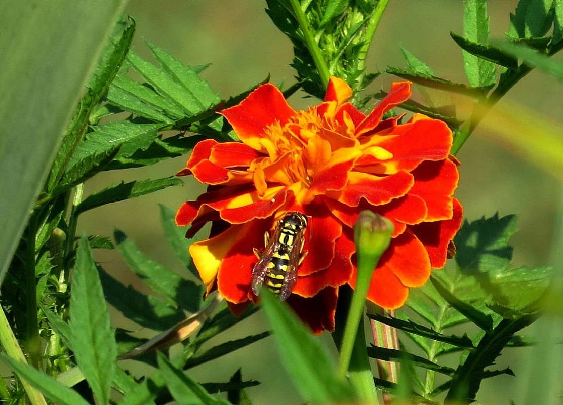 �������� 2 ����� Natali  ��������� �� PhotoGeek.ru #������ ��� ������� #����� ��������������