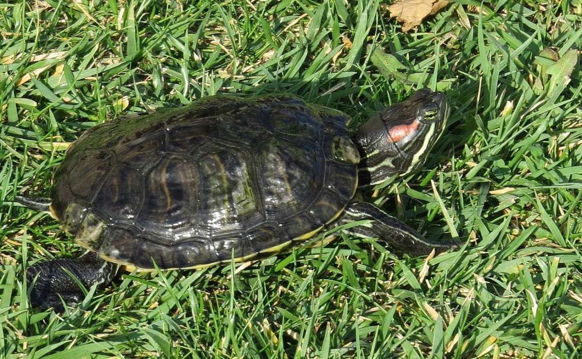 ���������� ����� Natali  ��������� �� PhotoGeek.ru #�������� ���