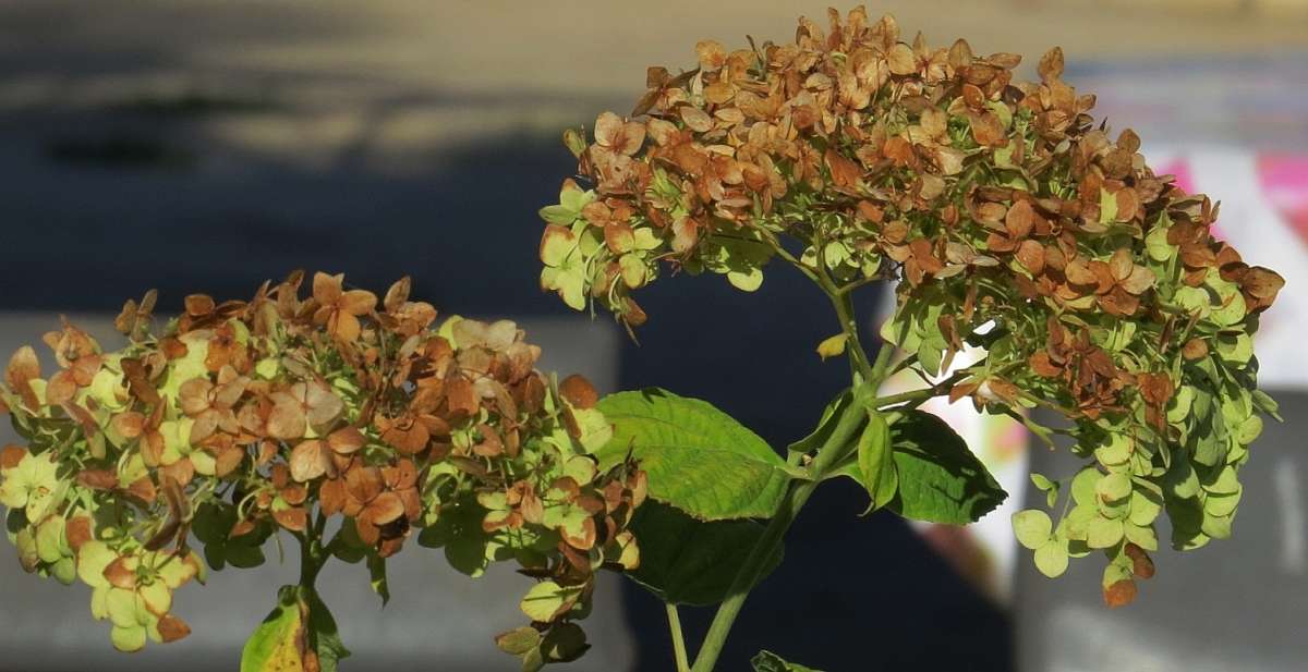 �� ����� ����� Natali  ��������� �� PhotoGeek.ru #������ ��� �������