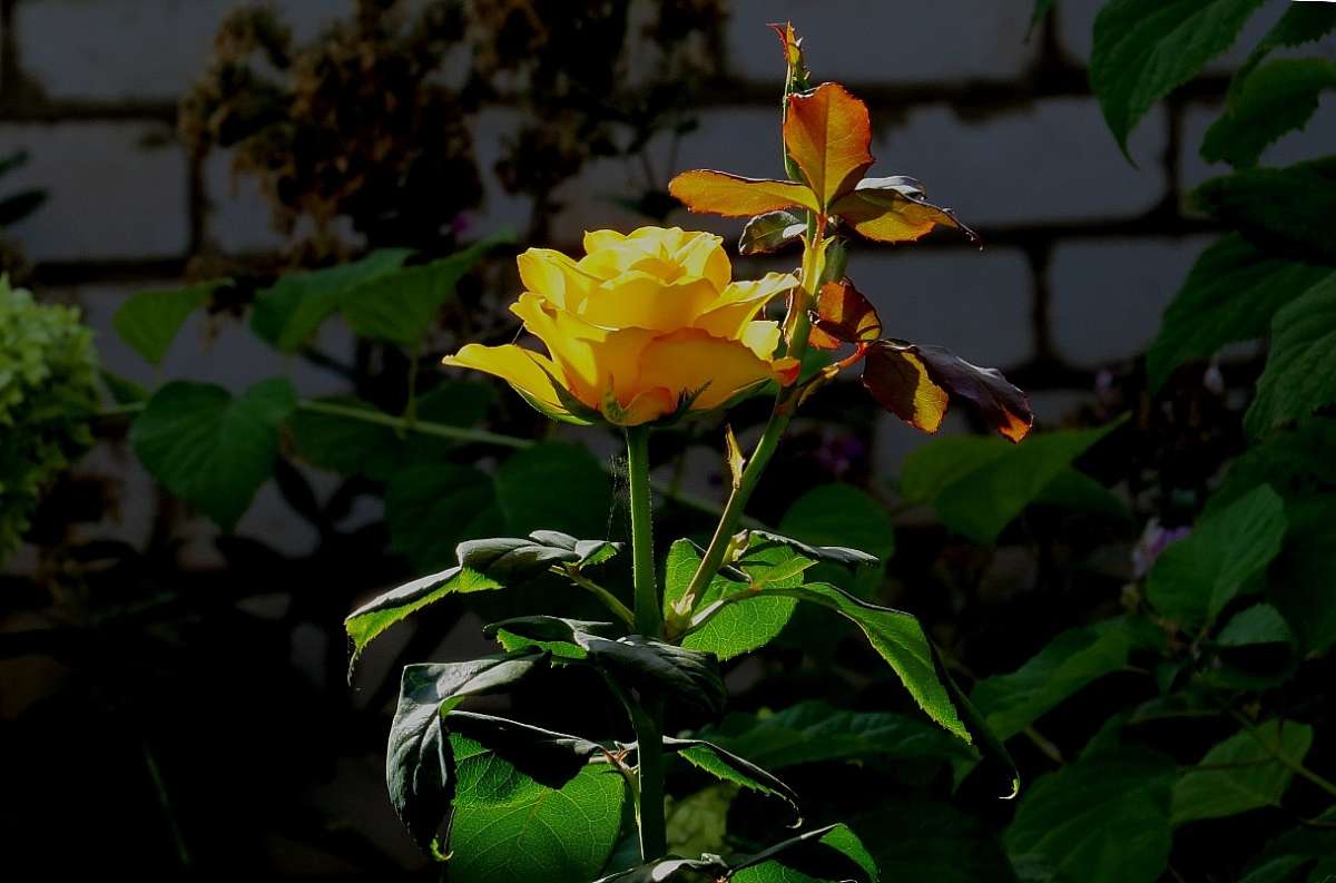 �� ����� 2 ����� Natali  ��������� �� PhotoGeek.ru #������ ��� �������