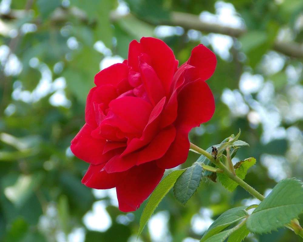 ... ����� Natali  ��������� �� PhotoGeek.ru #������ ��� �������