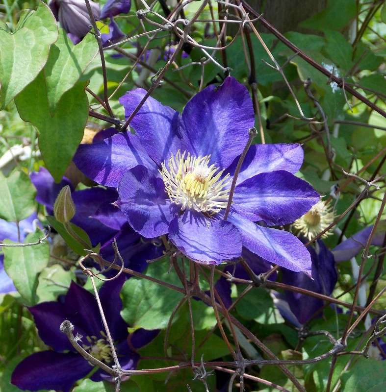 �������� ����� Natali  ��������� �� PhotoGeek.ru #������ ��� ������� #����� ��������������