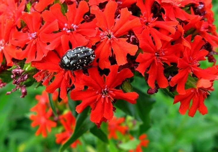 ������������ ������ ��������� ����� Natali  ��������� �� PhotoGeek.ru #���������